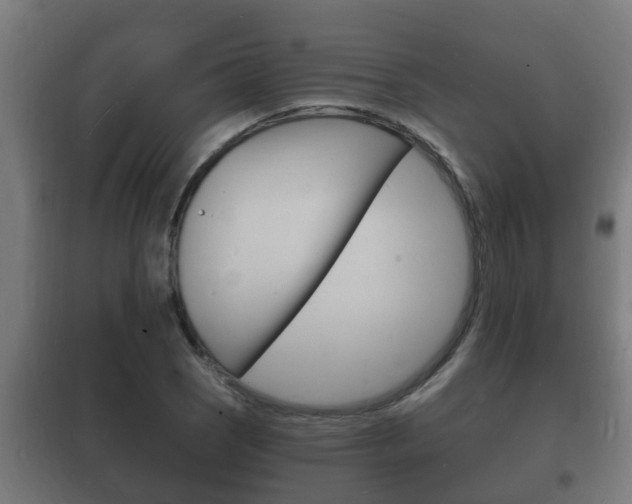 X0000102221121200807250740