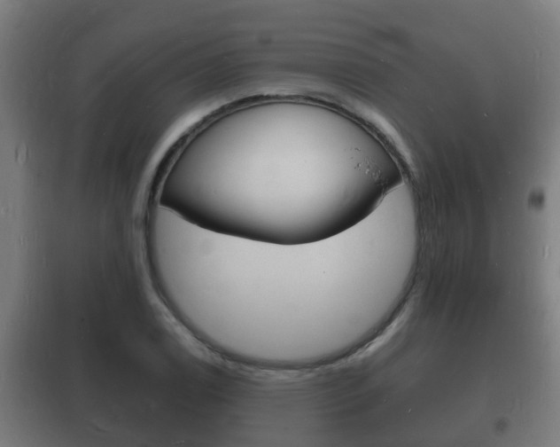 X0000102221122200807250740