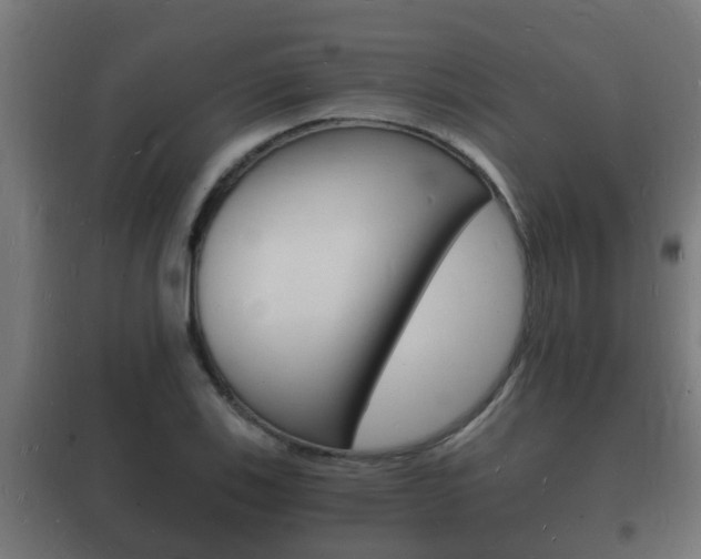 X0000102221123200807250740