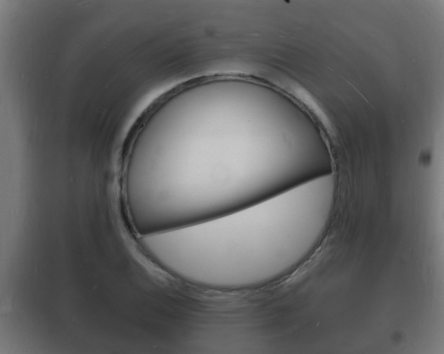 X0000102221124200807250740