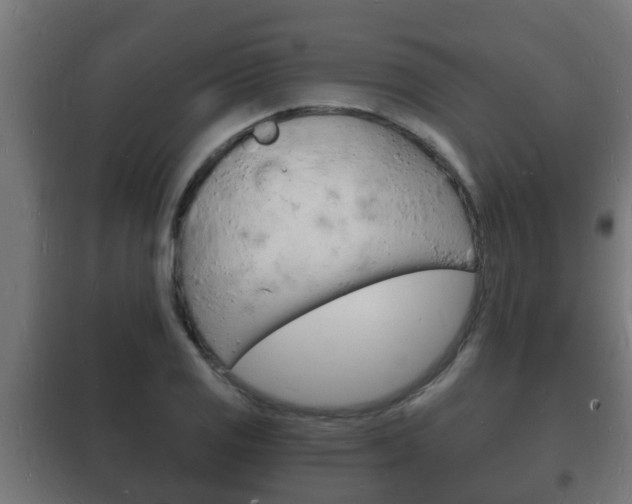 X0000102221125200807250740