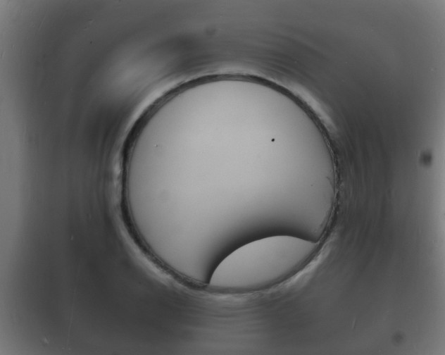 X0000102221126200807250740