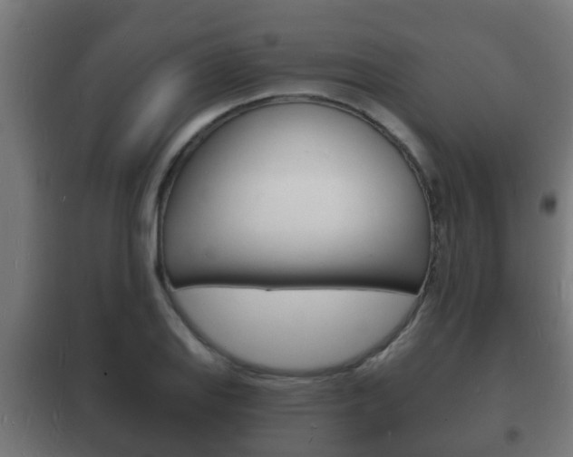 X0000102221127200807250740