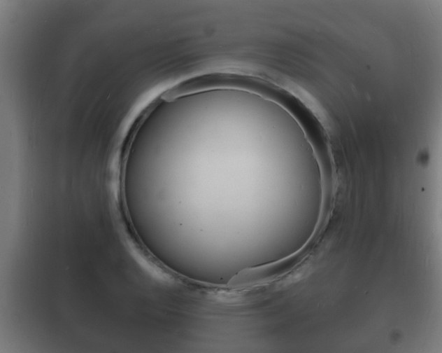 X0000102221128200807250740