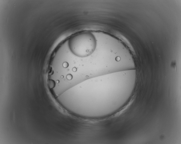 X0000102221130200807250740
