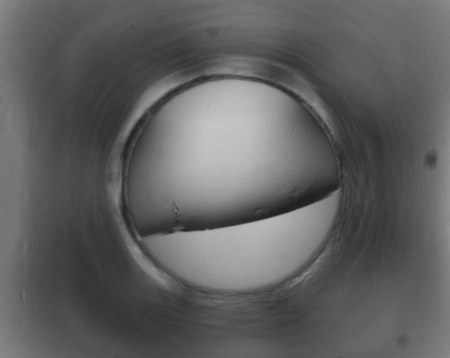 X0000102221131200807250740