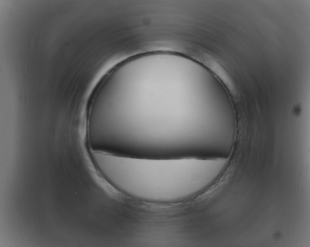 X0000102221132200807250740