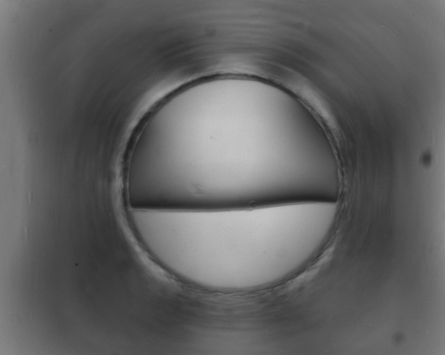 X0000102221133200807250740