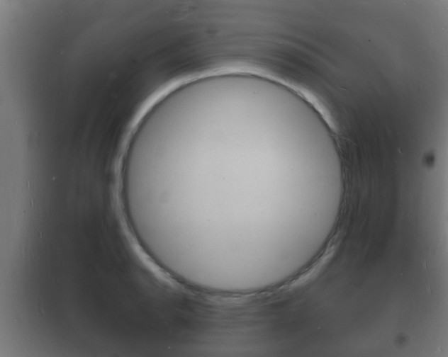X0000102221134200807250740