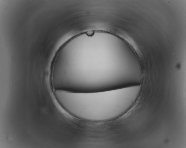 X0000102221135200807250740