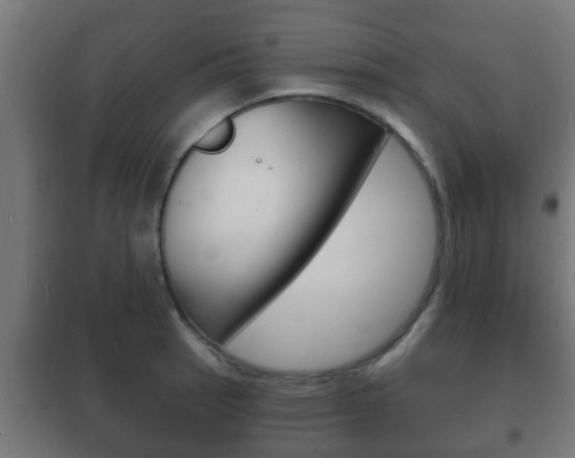 X0000102221137200807250740