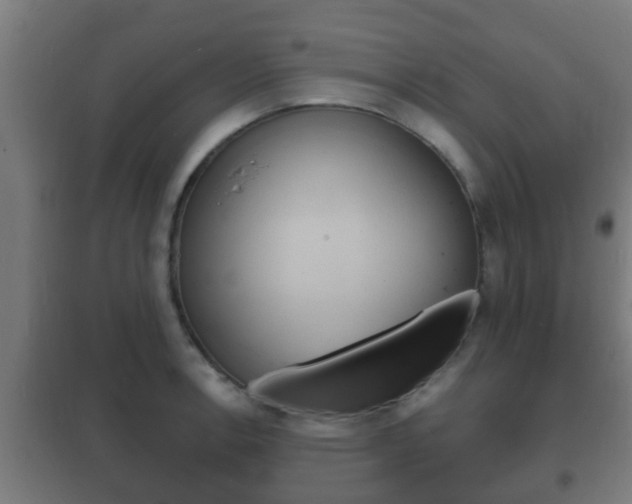 X0000102221138200807250740