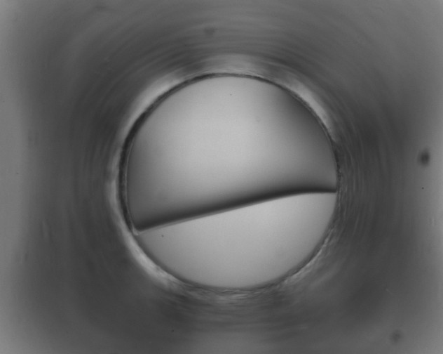 X0000102221139200807250740