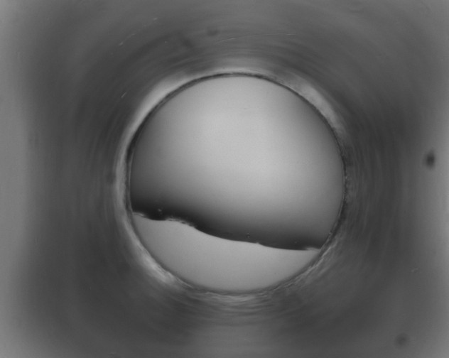 X0000102221140200807250740