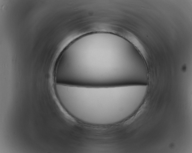 X0000102221141200807250740