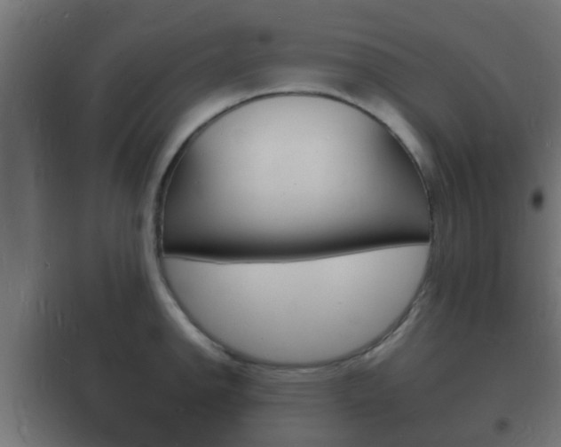 X0000102221142200807250740