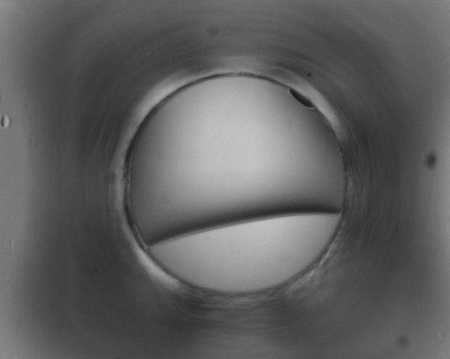 X0000102221143200807250740