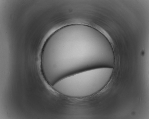 X0000102221144200807250740