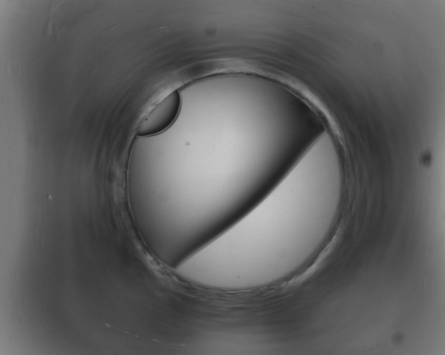 X0000102221145200807250740