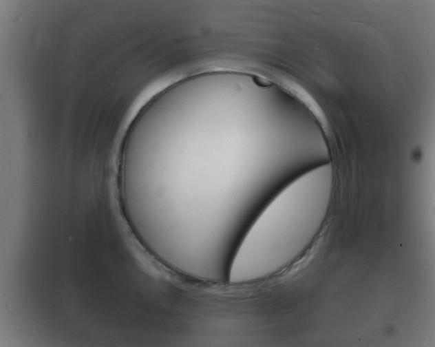 X0000102221146200807250740