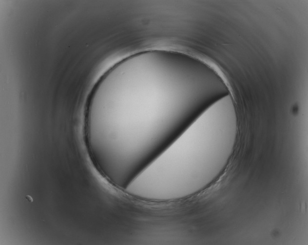 X0000102221147200807250740
