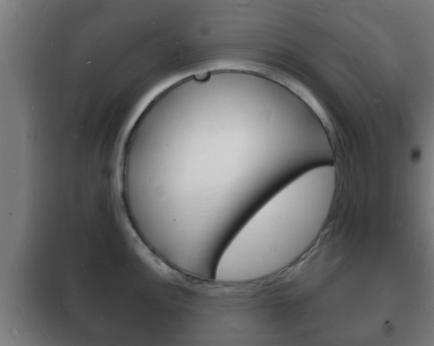 X0000102221148200807250740