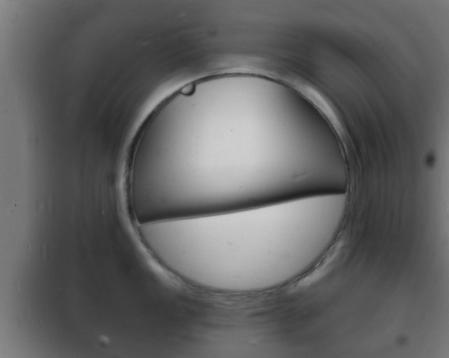 X0000102221149200807250740
