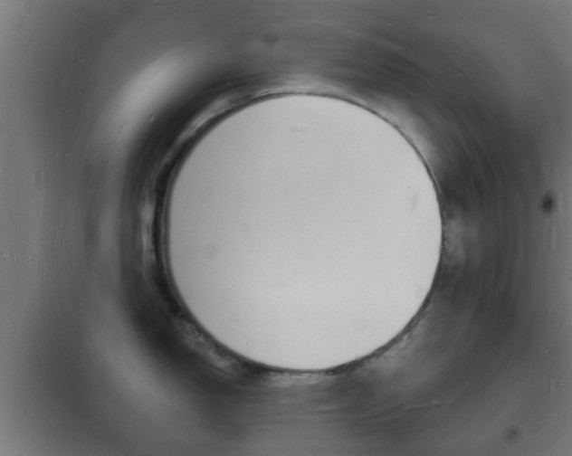 X0000102221150200807250740