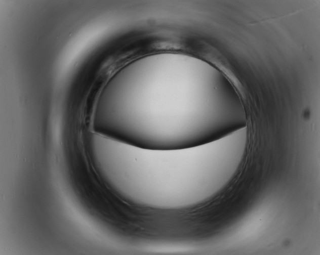X0000102221151200807250740