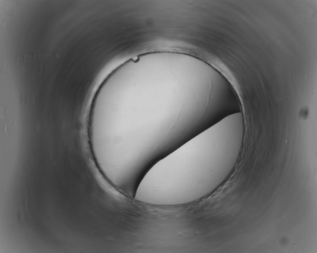 X0000102221152200807250740