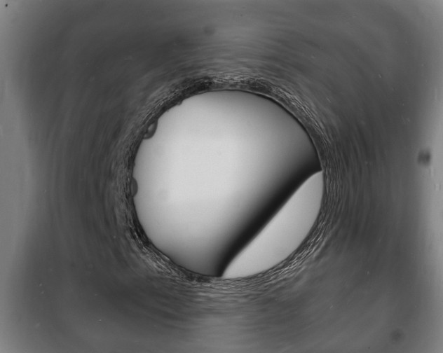 X0000102221153200807250739