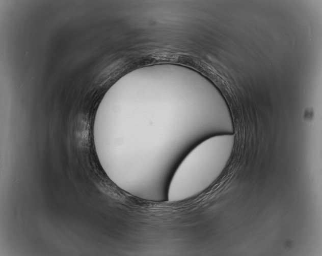 X0000102221154200807250739