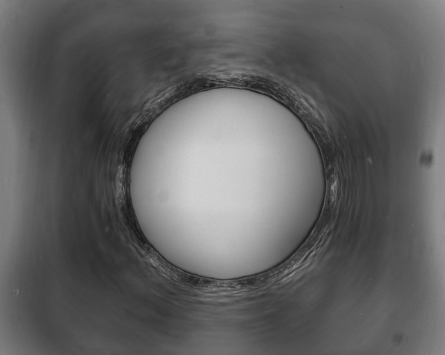 X0000102221156200807250739