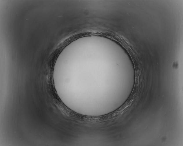 X0000102221158200807250739