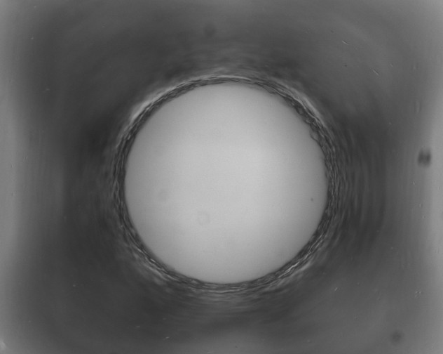 X0000102221160200807250739