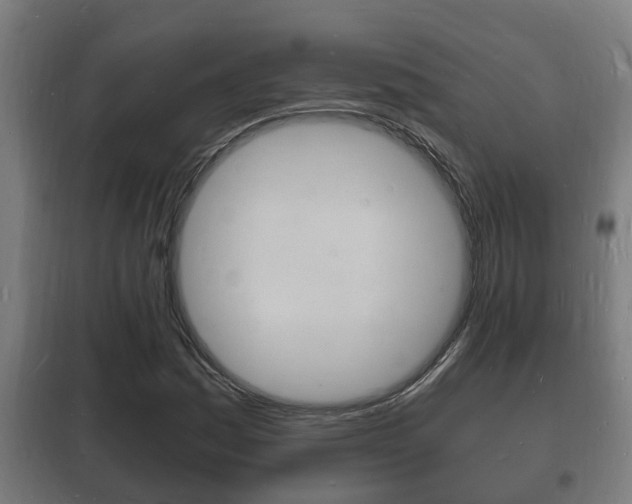 X0000102221161200807250739