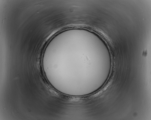 X0000102221162200807250739