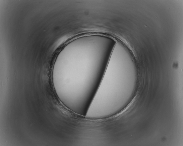 X0000102221163200807250739