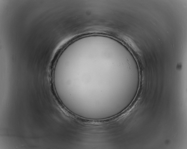 X0000102221164200807250739
