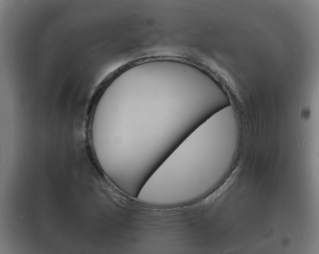 X0000102221166200807250739