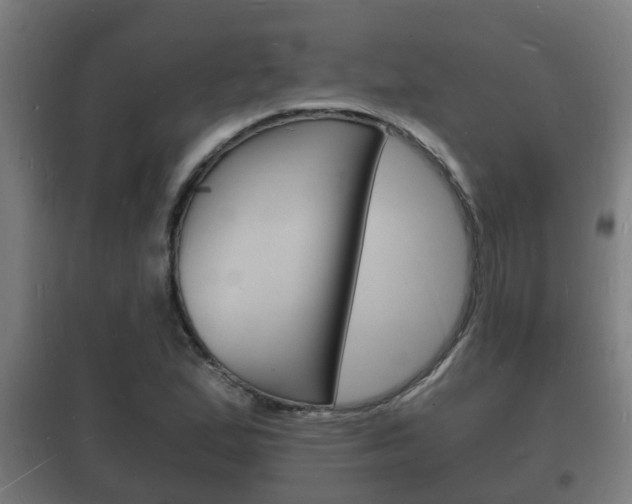 X0000102221167200807250739