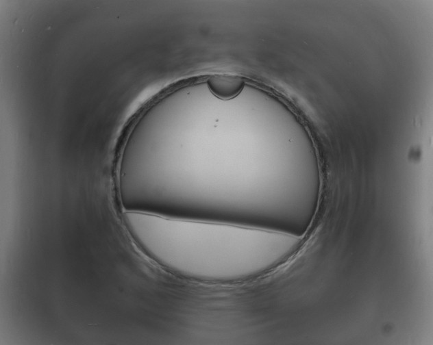 X0000102221168200807250739