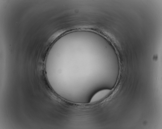 X0000102221169200807250739