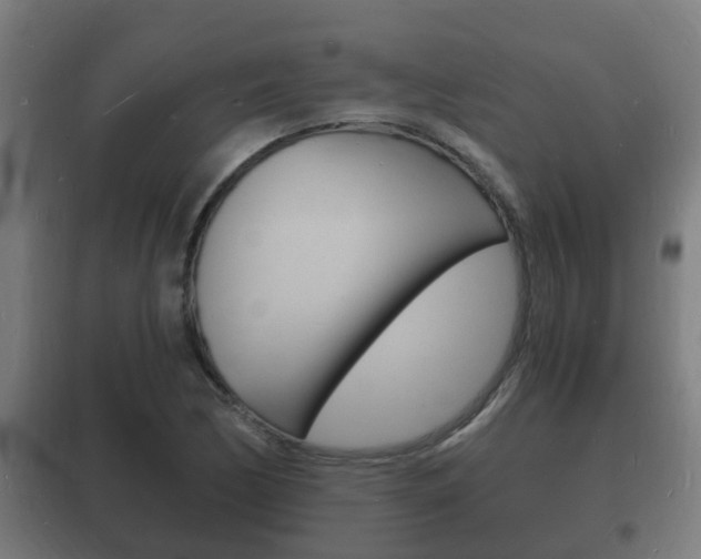 X0000102221170200807250739