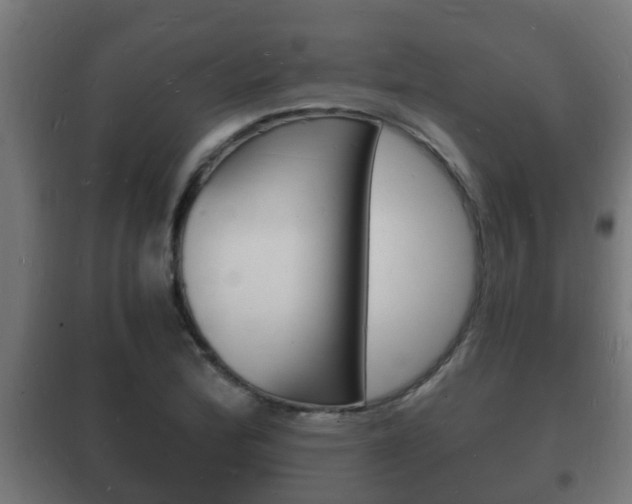X0000102221172200807250739
