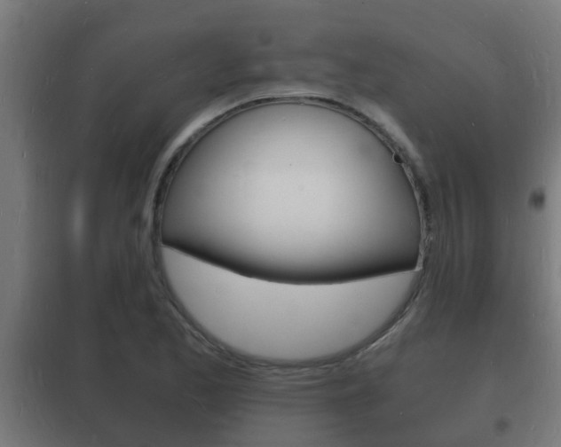 X0000102221173200807250739