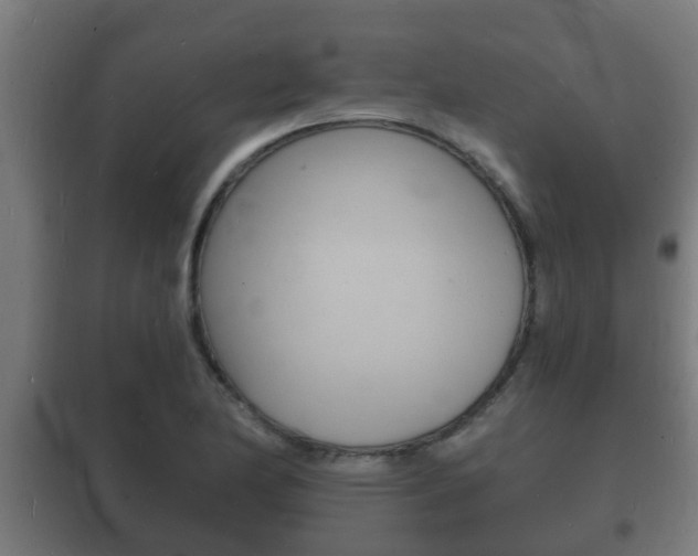 X0000102221174200807250739