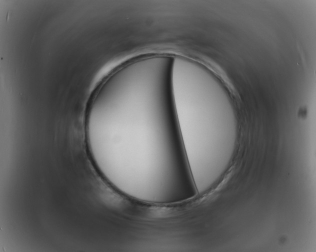 X0000102221176200807250739