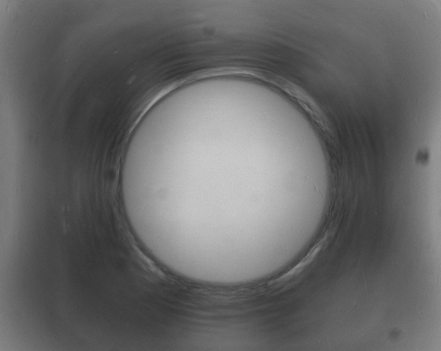 X0000102221177200807250739