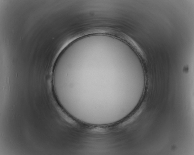 X0000102221178200807250739